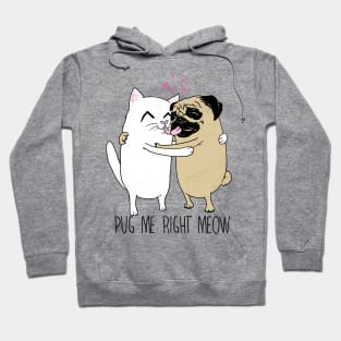 Dogs and Cats Hoodie